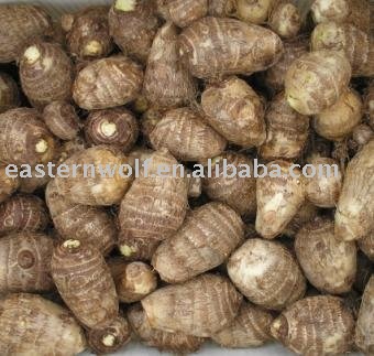 Fresh Small Taro in 10KG/Mesh Bag