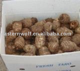 Chinese Fresh Taro in 30lbs/plastic box