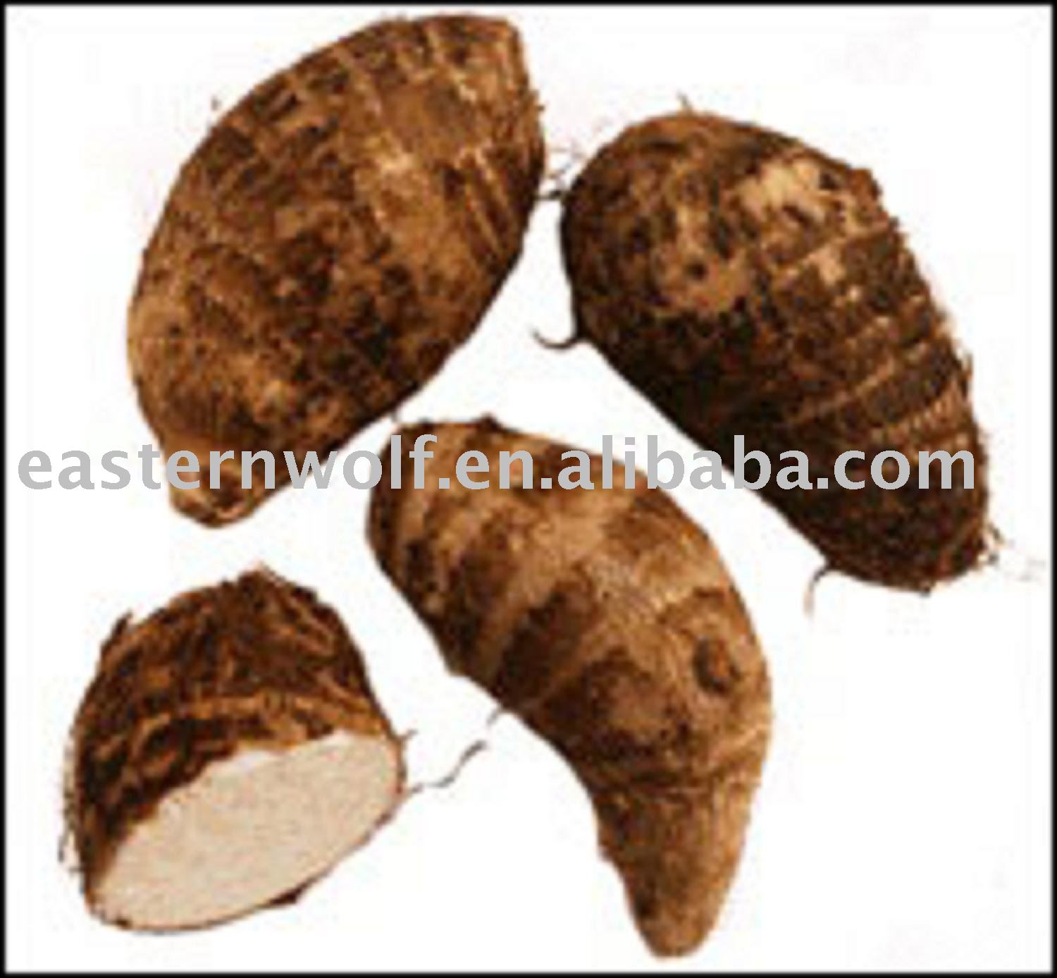 Chinese Fresh Taro in 20 KG/Mesh Bag