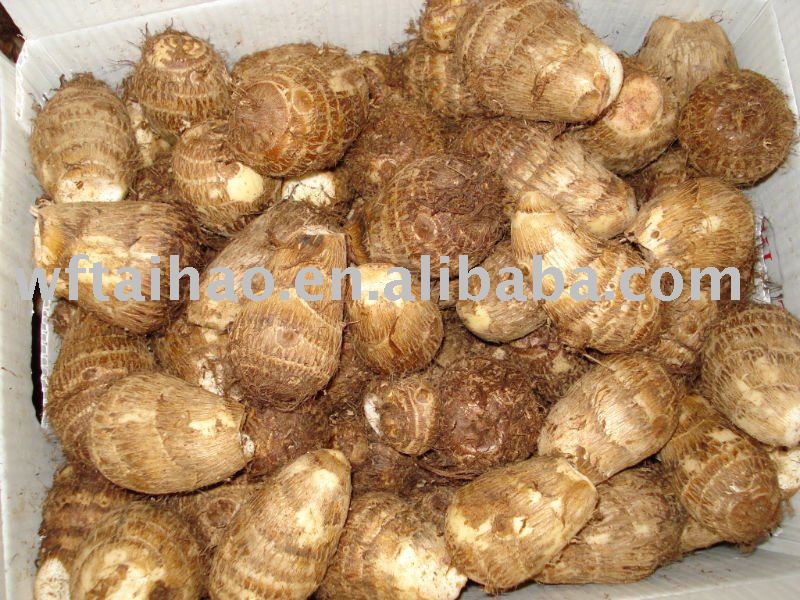 Chinese Fresh Taro