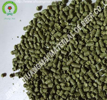 beer hops