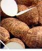 Dasheen (Eddoe/ Taro   Root )
