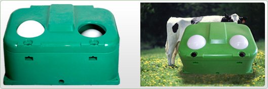 energy  free   water er for cattle