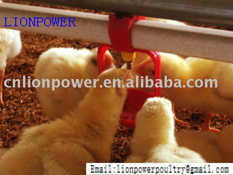 automatic poultry equipment of poultry drinking system for chickens