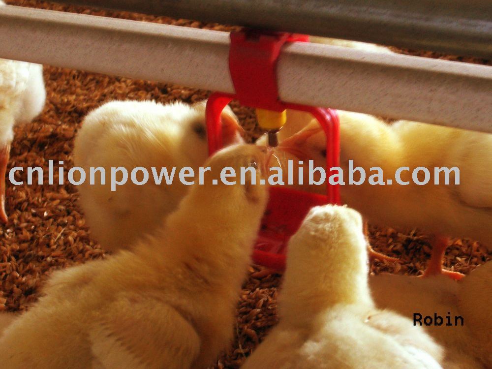 poultry equipments of nipple drinking system
