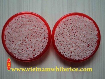 JASMINE rice 2% broken in GOOD quality