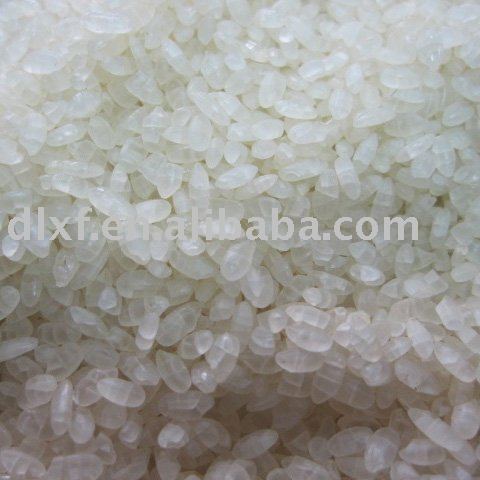 steamed rice