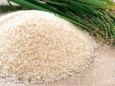  White   Short   grain   Rice 