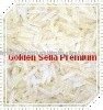 1121  Sella cream premium