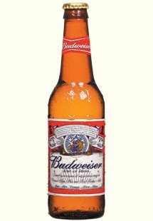 Budweiser beer