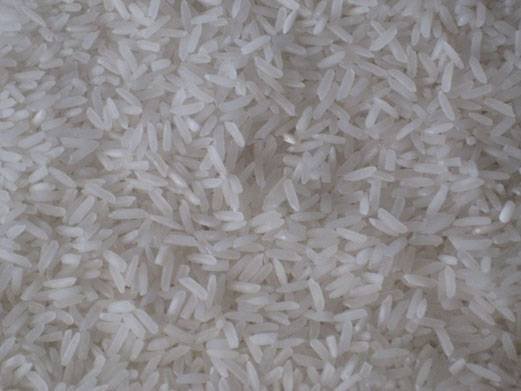 Cambodia Fregent Rice