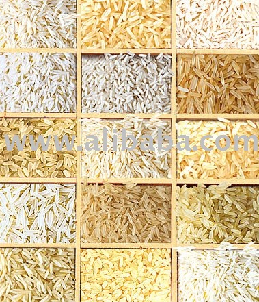 Rice