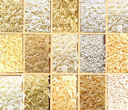 India s Basmati Rice
