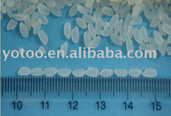 chinese short grain rice(white 5% broken rice)