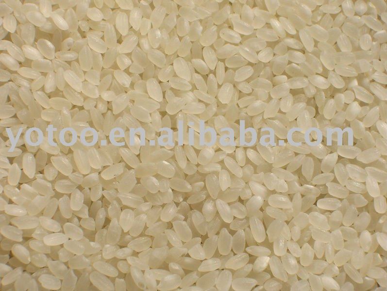 Grain rounds. Рис нового урожая. Рис в Египте. Рис по египетски. Египтянский рис.