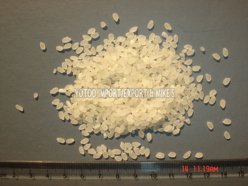 Round sushi rice ,Best for you !