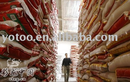 Top quality short  rice china