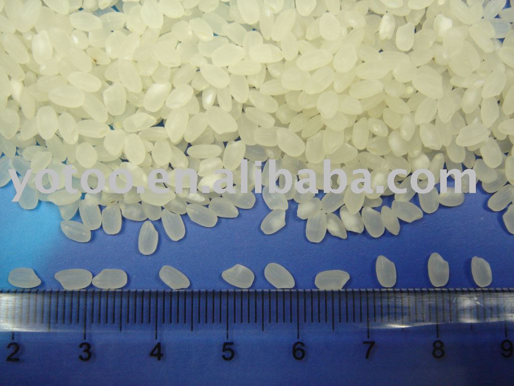 short- grain round  rice RR203 ,Best price