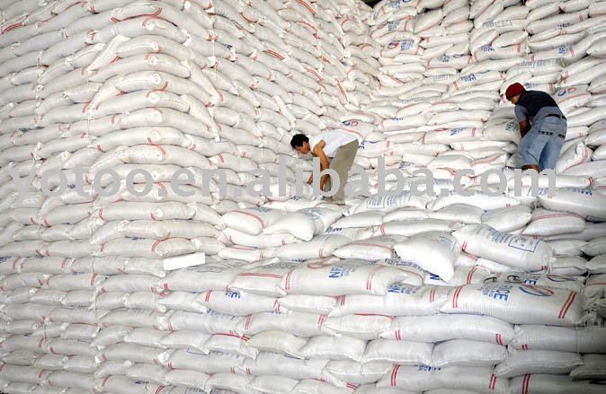 best quality Round sushi rice - sushi rice/white rice/round rice - sushi rice - japonica