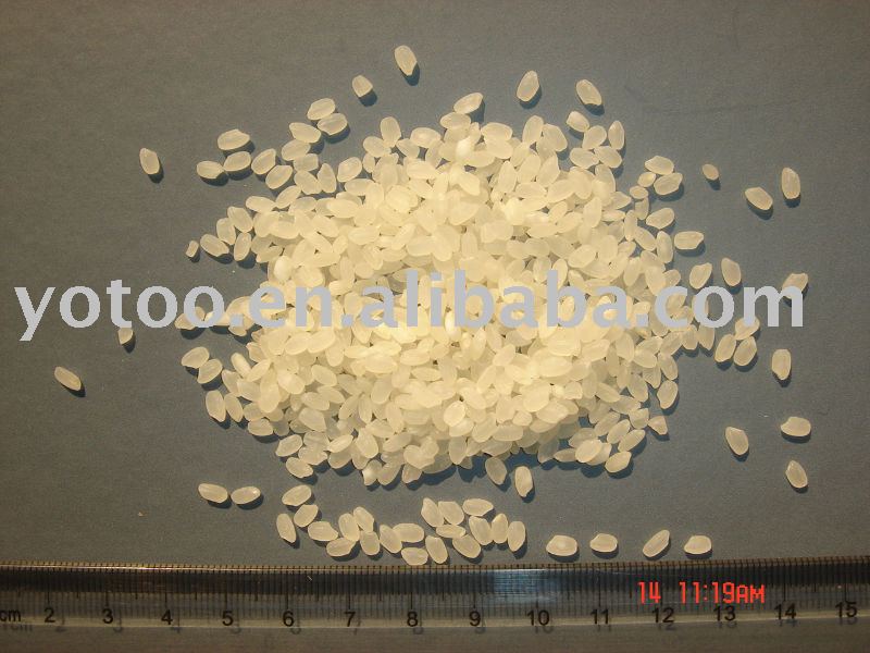 Top quality round  rice/sushi rice/white rice/round rice - sushi rice - japonica