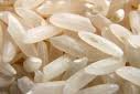 rice  export er