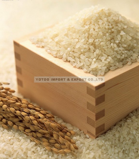 Japanese SASANISHIKI Round Short Grain White Rice(Origin china)