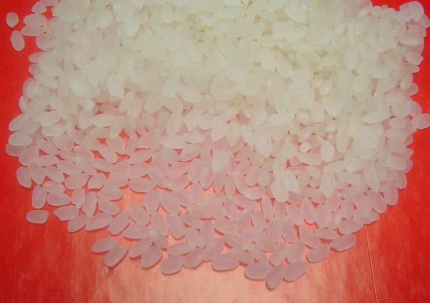 China white short grain rice