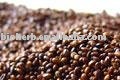 Organic  Sea   buckthorn   seed s TBC
