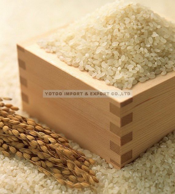 China White Sushi Rice