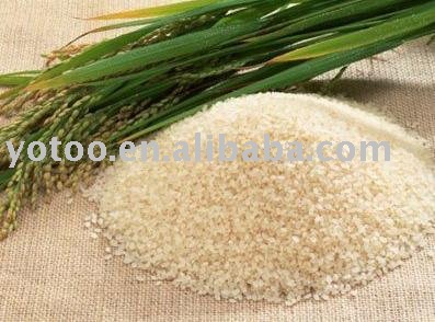 Short-grain round rice with 5% broken,max 14.5% moisture