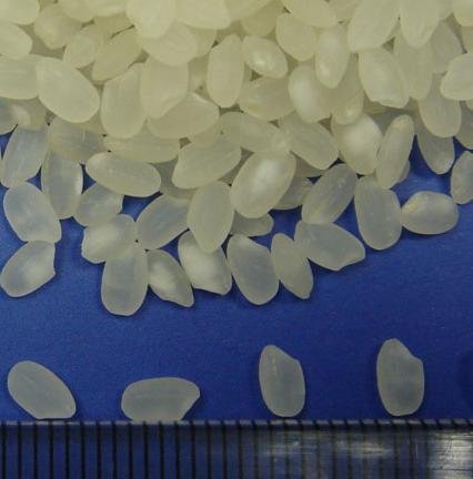China common white short rice