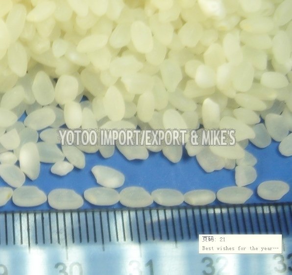 Best short round rice ,max 5% broken