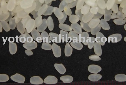Round grain Sushi rice