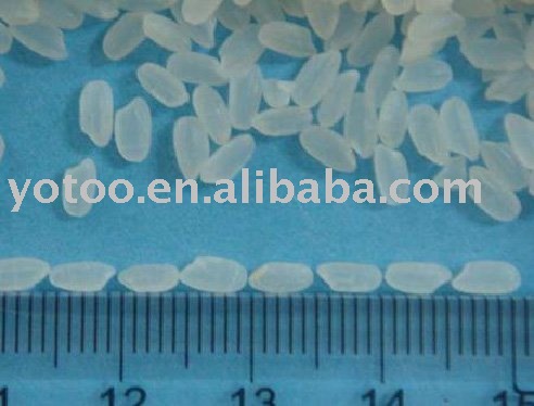 SR101 - sushi rice - japonica - sushi making rice - NO PRICE TRICK