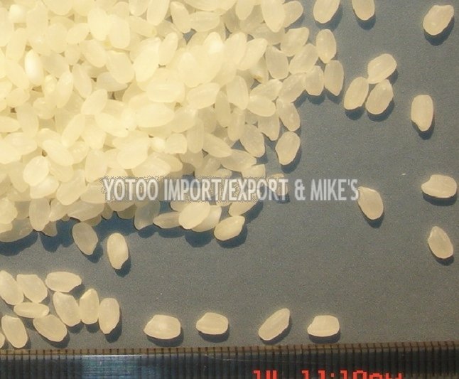 Round pearl rice from china -  sushi   making  rice