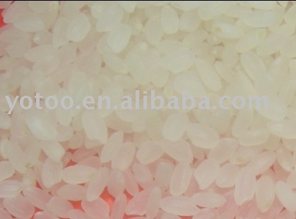 Round rice  max .5% broken
