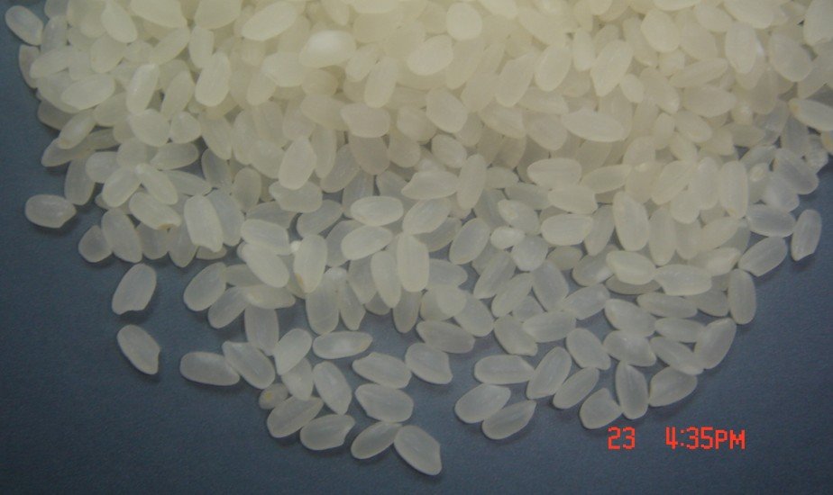 Medium round rice