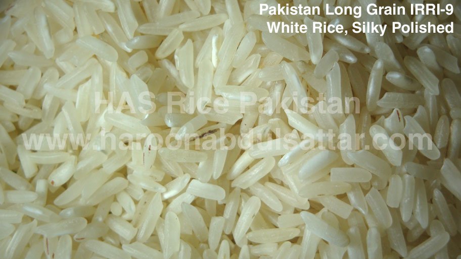CNF Colombo IRRI-9 Long Grain Rice