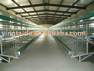  poultry   livestock 