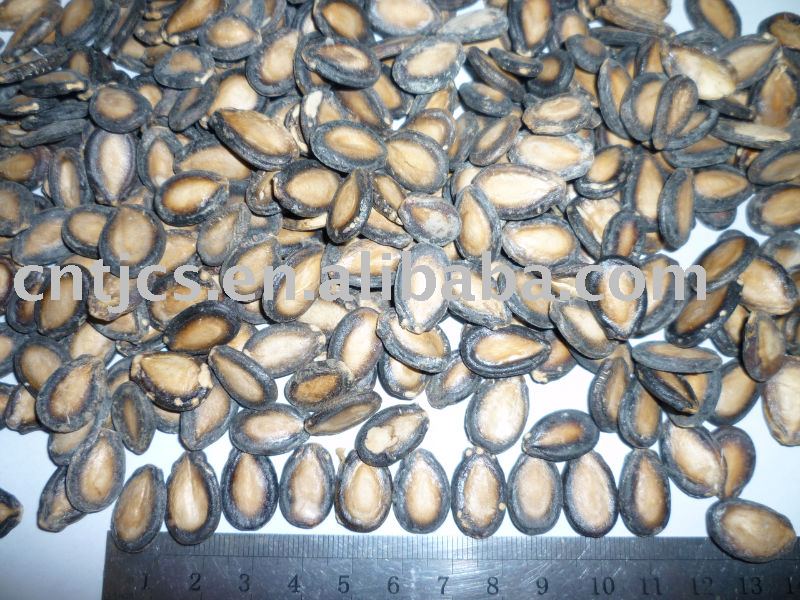Black Watermelon Seed:new crop of 2009, 11cm