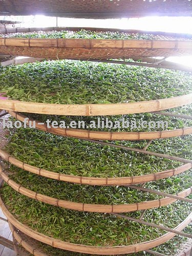  Green   tea ,Organic  green   tea , fujian   green   tea 