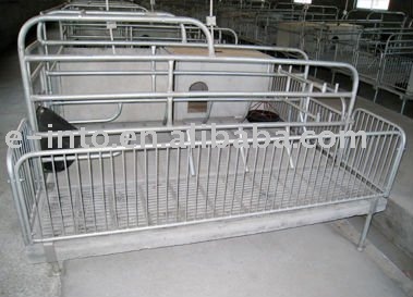 Western style Pig gestation  stall  07