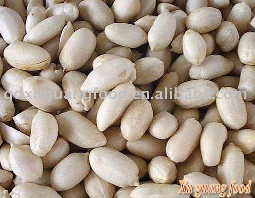 chinese long type blanched packing peanuts kernels groundnut,China xin ...