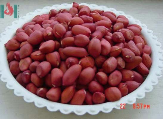 Red skin peanut kernel