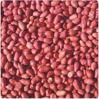 red skin peannut kernels