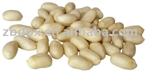 35/39  raw   blanched   peanut  kernels