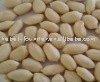 blanched peanut kernels