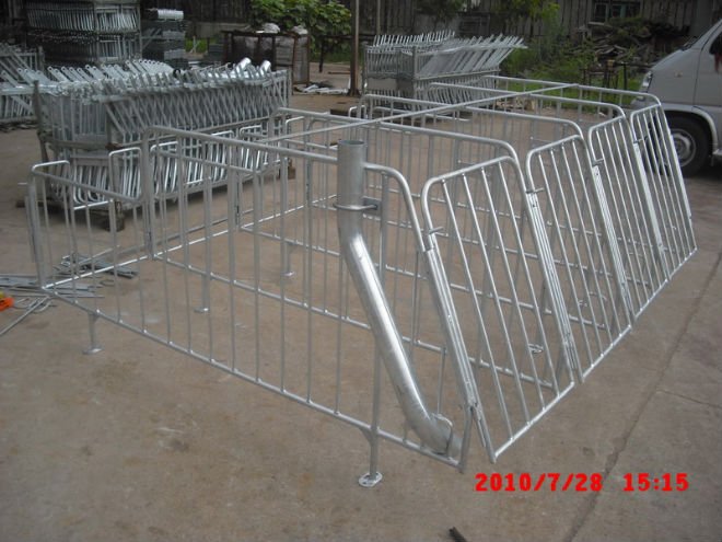 pig gestion stall