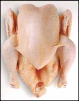 halal  slaughter ed frozen  chicken 