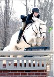 Horse Footloose